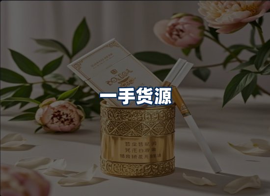 专业团队办公环境